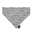 A45BEF00-D99C-4B5A-A4C8-216E6FA61304_L0_001 - Modifié.png