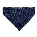 447C79F1-7883-438E-8AA7-07830DDE6E74_L0_001 - Modifié.webp