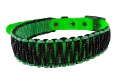 vert.webp