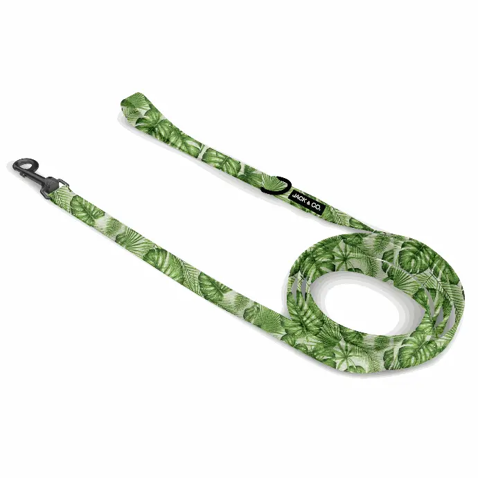 Tropical leaf (Small)