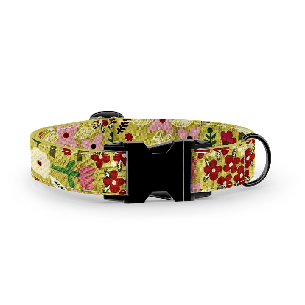 Fleurs | Vert lime (X-Small (Chien))