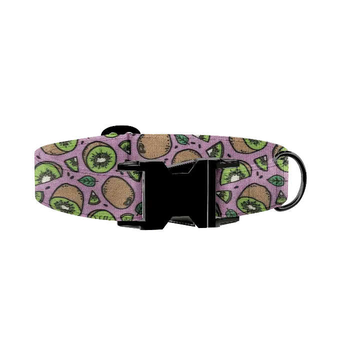 Kiwi (X-Small (Chien))