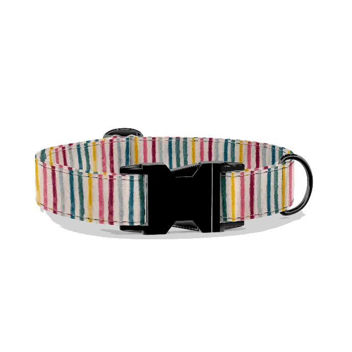 Lignes | Multicolore (X-Small (Chien))
