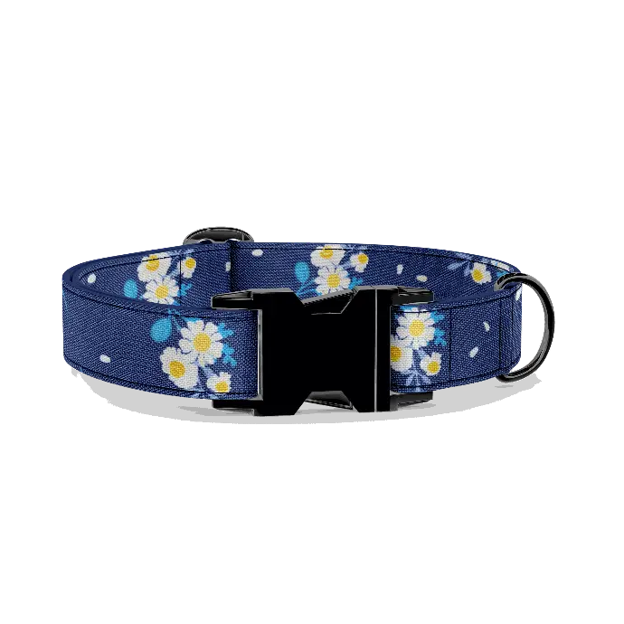 Marguerites | Nuit (X-Small (Chien))