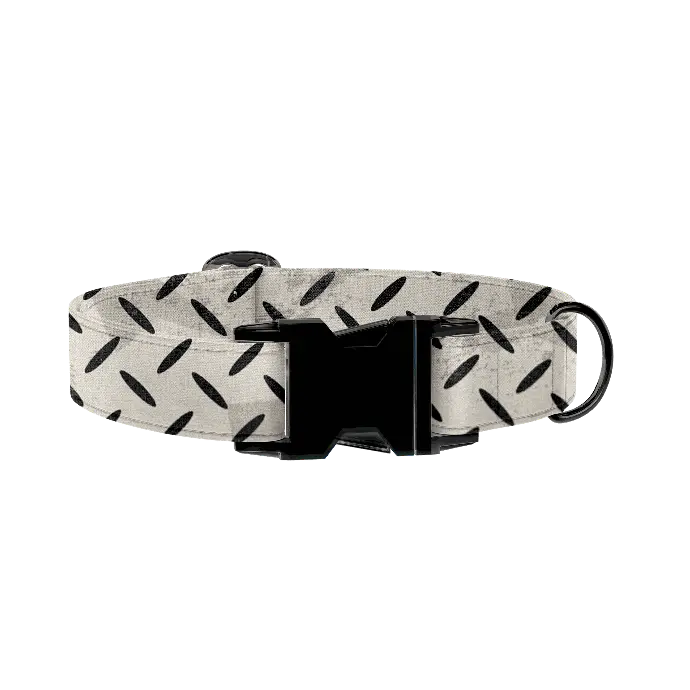 Métal | Gris (X-Small (Chien))