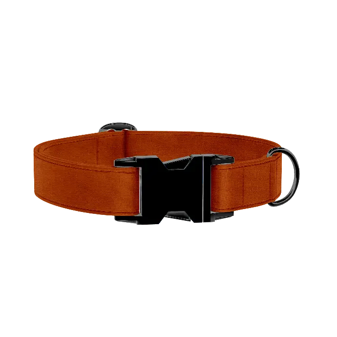 Neutre | Cognac (X-Small (Chien))