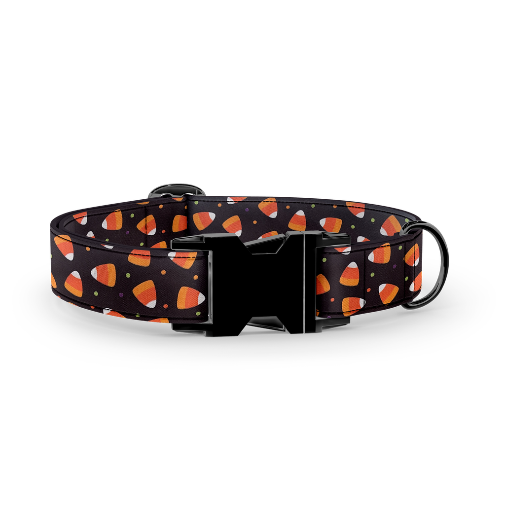 Bonbon (X-Small (Chien))