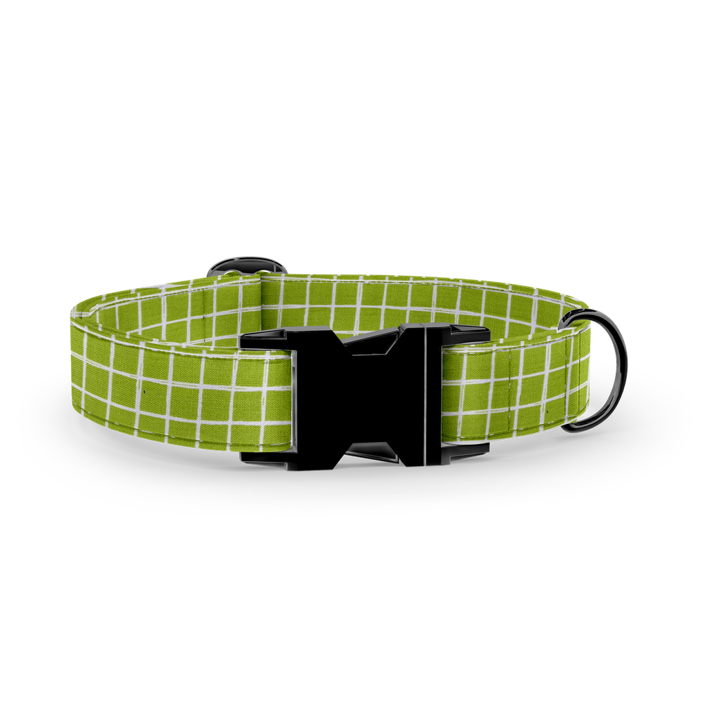 Tiles / Green (X-Small (Chien))