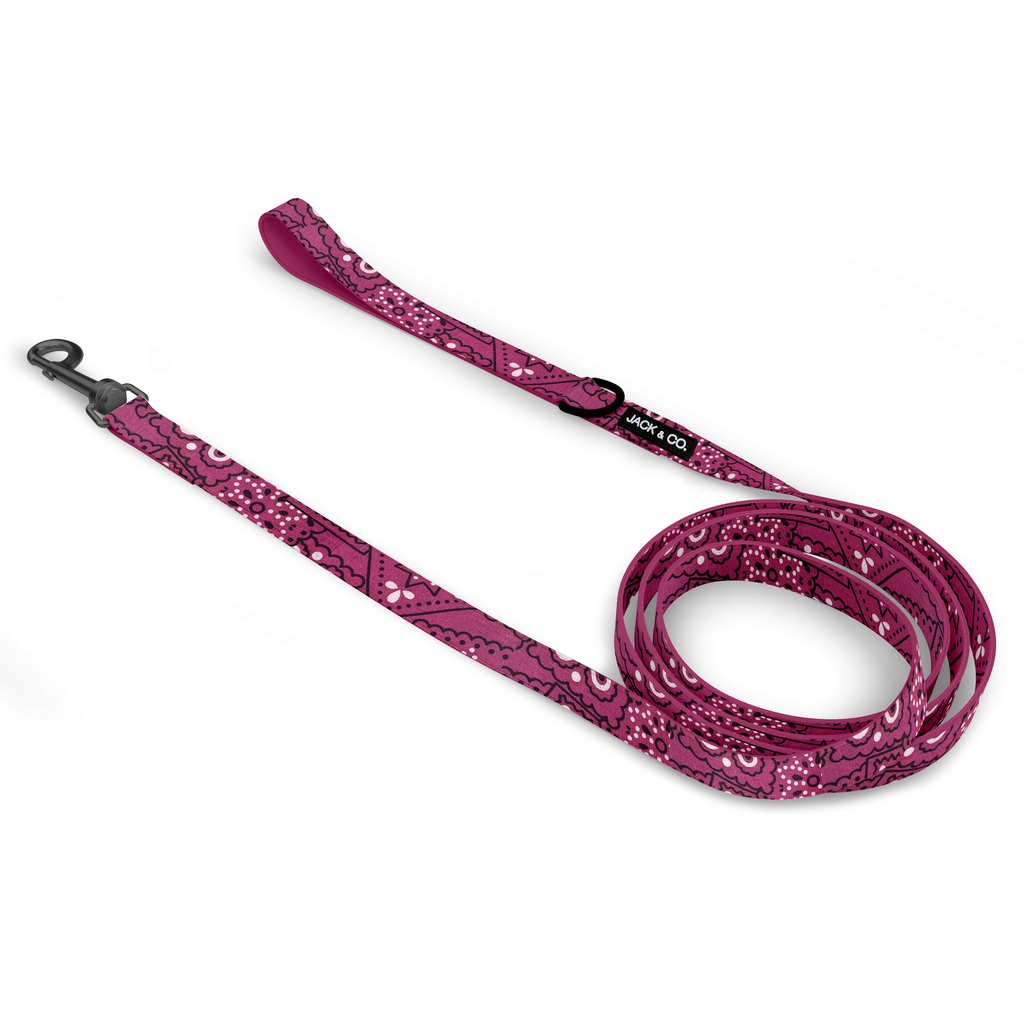 Bandana | Rose (Small)