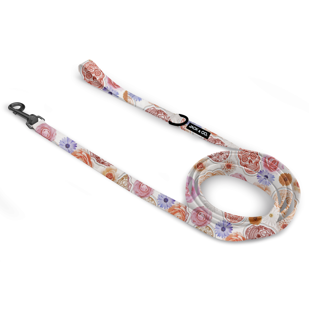 Ciel squelettique | Blanc (Small)