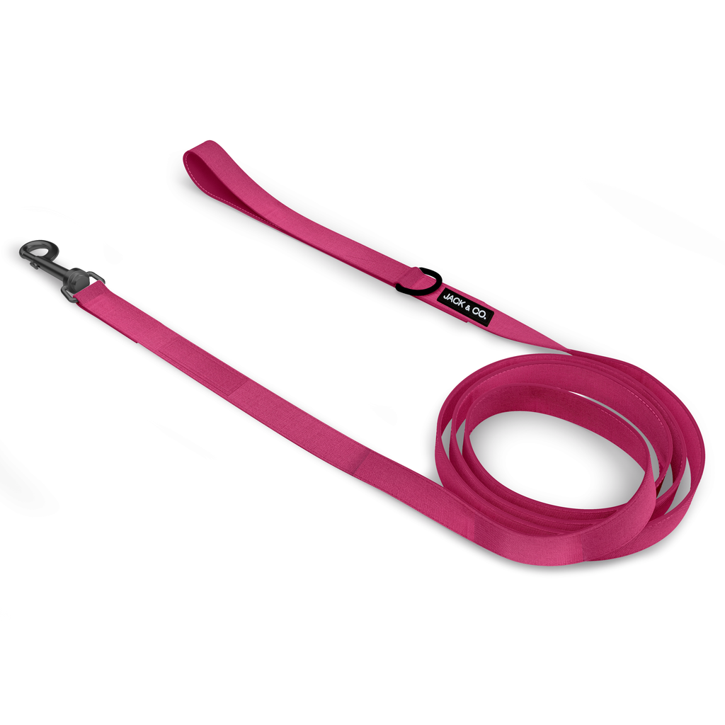 Neutre | Rose (Small)