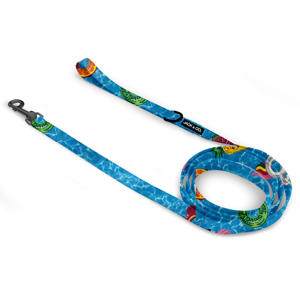 Pool Party (Small)