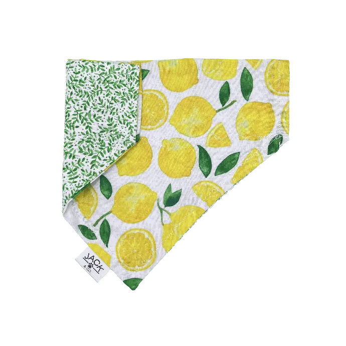 Lemonette (Pass-Collar, X-Small, Do not add)