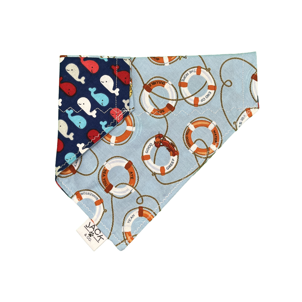 Whale (Pass-Collar, X-Small, Do not add)