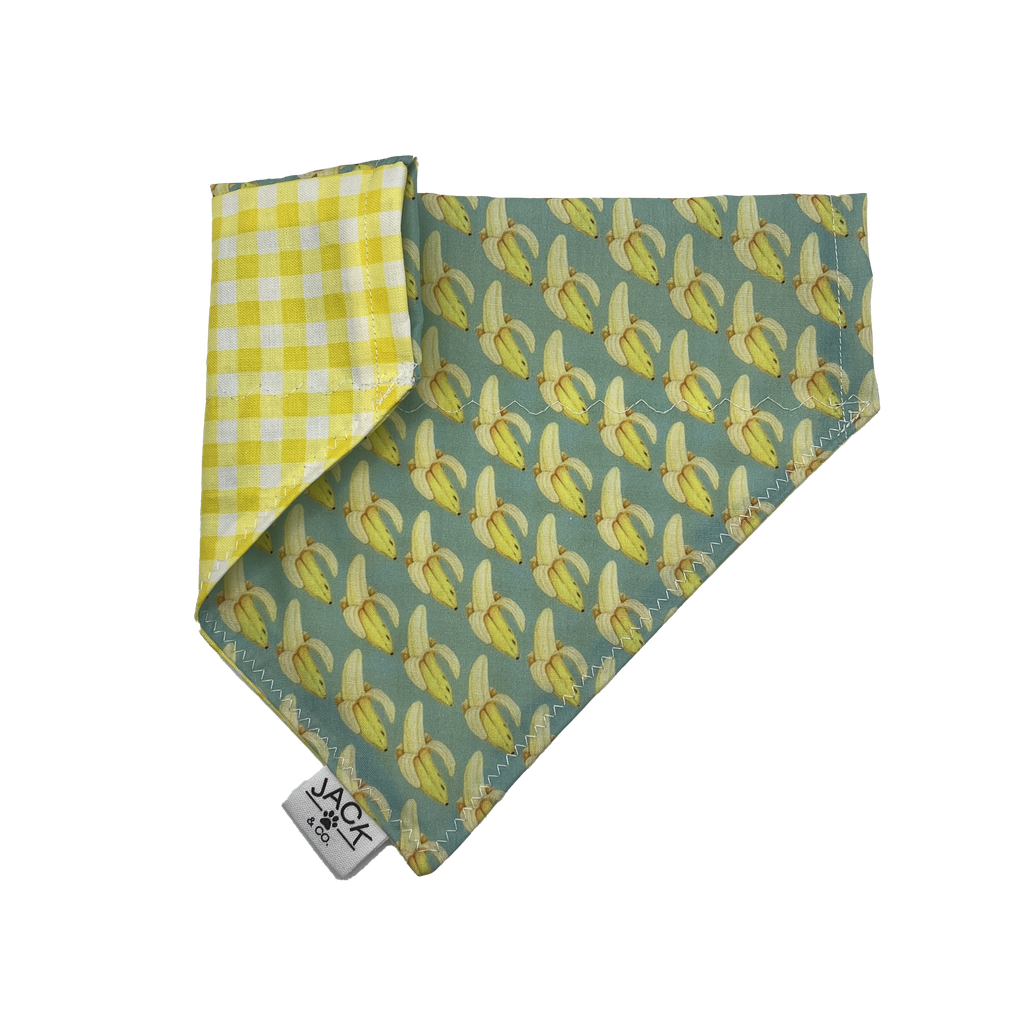 Banana split (Pass-Collar, X-Small, Do not add)