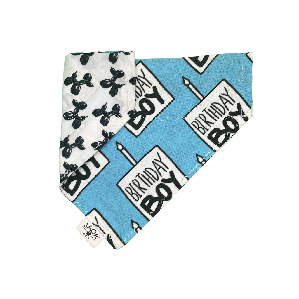 Birthday Boy (Passe-Collier, X-Small, Ne pas ajouter)