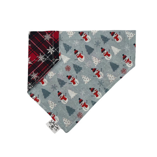 Bonhomme de neige (Passe-Collier, X-Small, Ne pas ajouter)