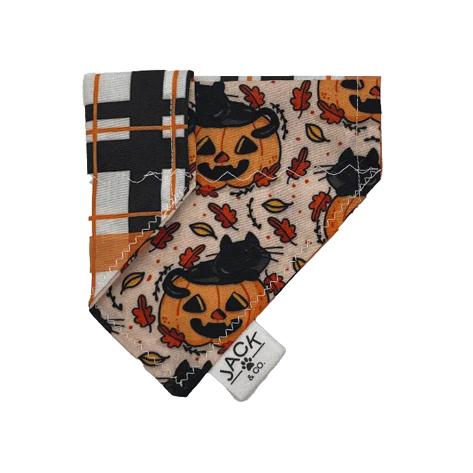 Chat d’automne (Passe-Collier, X-Small, Ne pas ajouter)