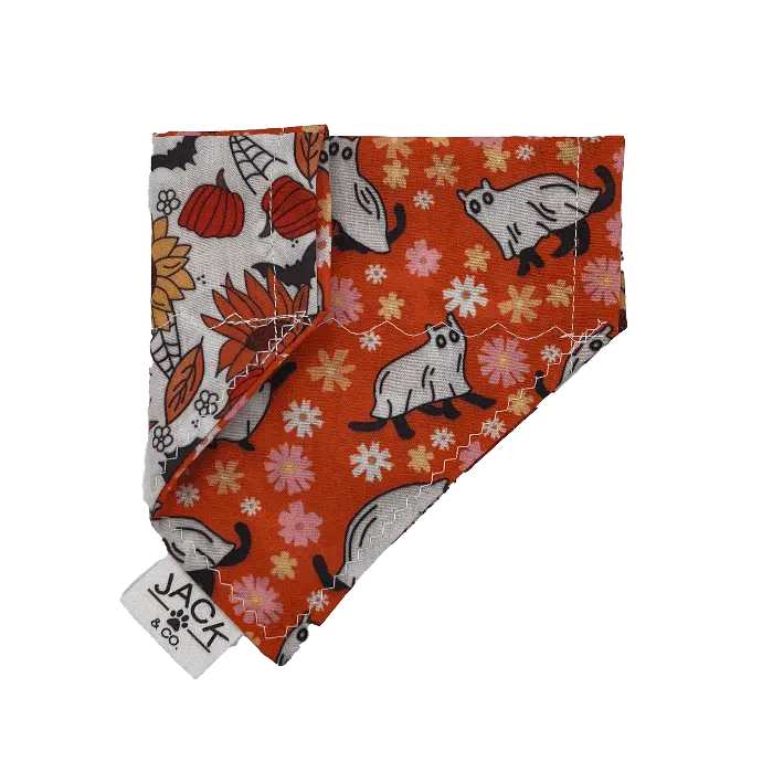 Chat fantôme (Passe-Collier, X-Small, Ne pas ajouter)