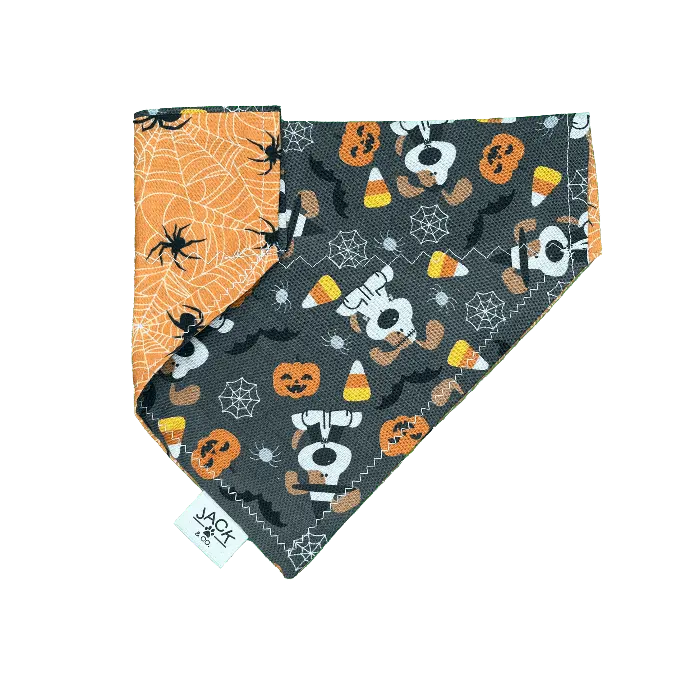 Chien d’Halloween | Gris (Passe-Collier, X-Small, Ne pas ajouter)