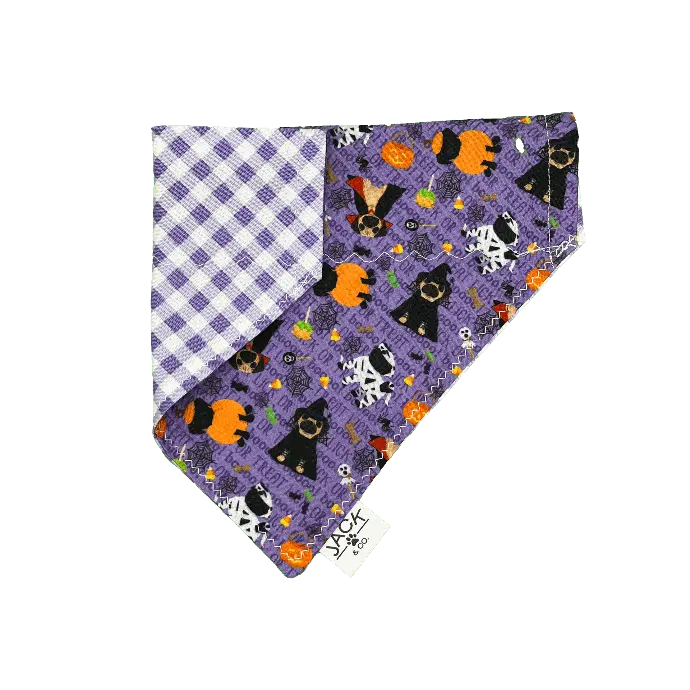Chien d’Halloween | Violet (Passe-Collier, X-Small, Ne pas ajouter)