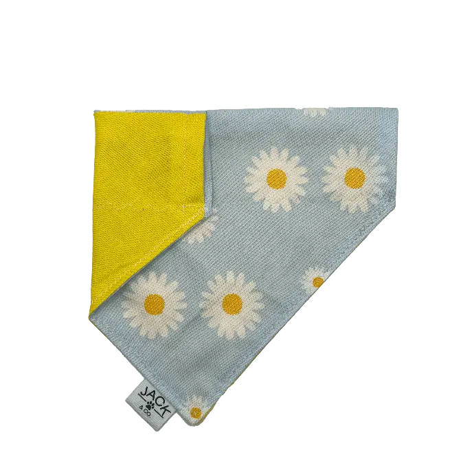 Ciel de marguerites (Passe-Collier, X-Small, Ne pas ajouter)