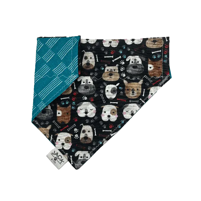 Turquoise Buddies (Pass-Collar, X-Small, Do not add)