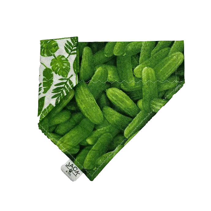 Pickle (Pass-Collar, X-Small, Do not add)