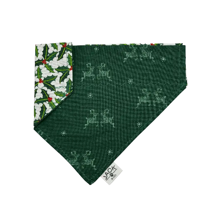Feuille de gui (Pass-Collar, X-Small, Do not add)