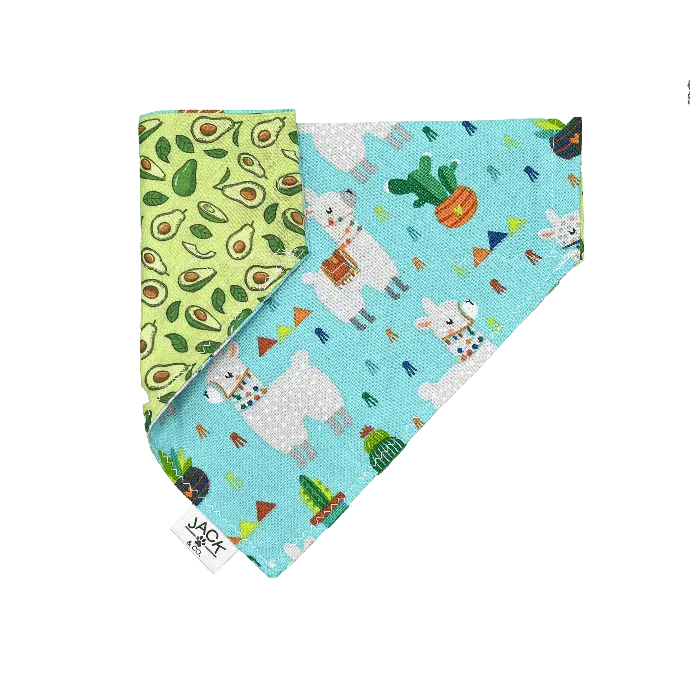 Fiesta d’avocado (Pass-Collar, X-Small, Do not add)