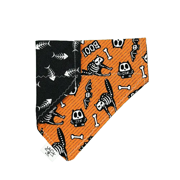 Halloween (glow in the dark) (Pass-Collar, X-Small, Do not add)