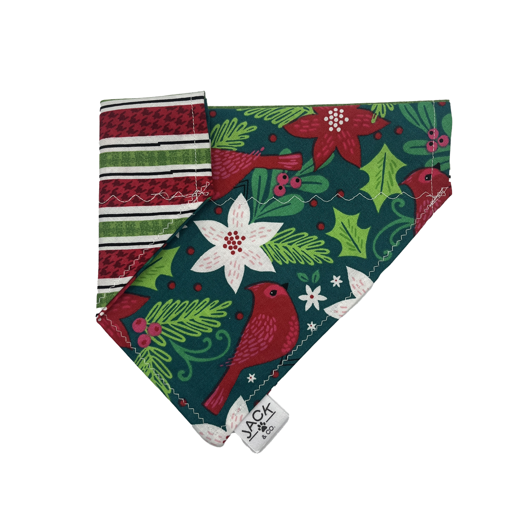 Oiseaux de Noël (Pass-Collar, X-Small, Do not add)