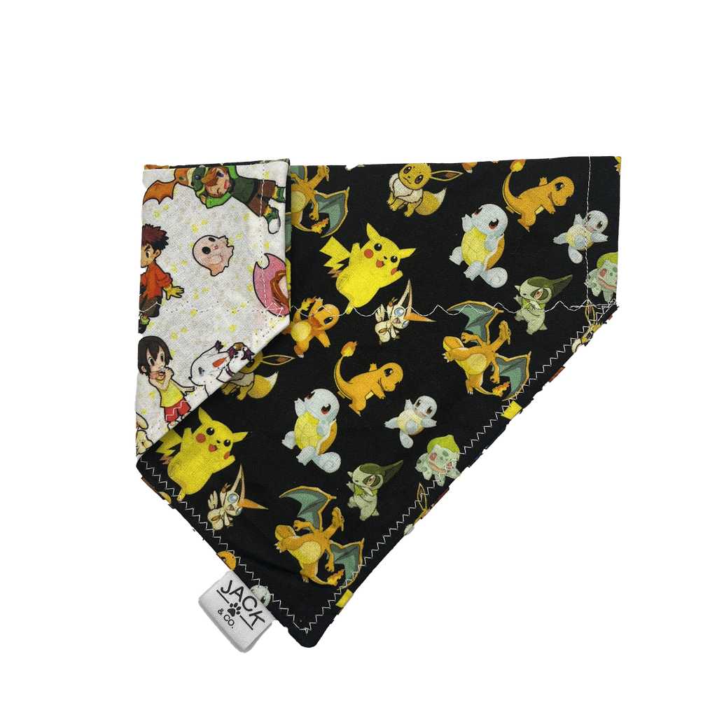 Pokemon (Passe-Collier, X-Small, Ne pas ajouter)