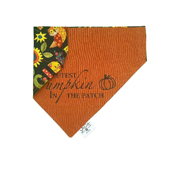 Pumpkin (Passe-Collier, X-Small, Ne pas ajouter)