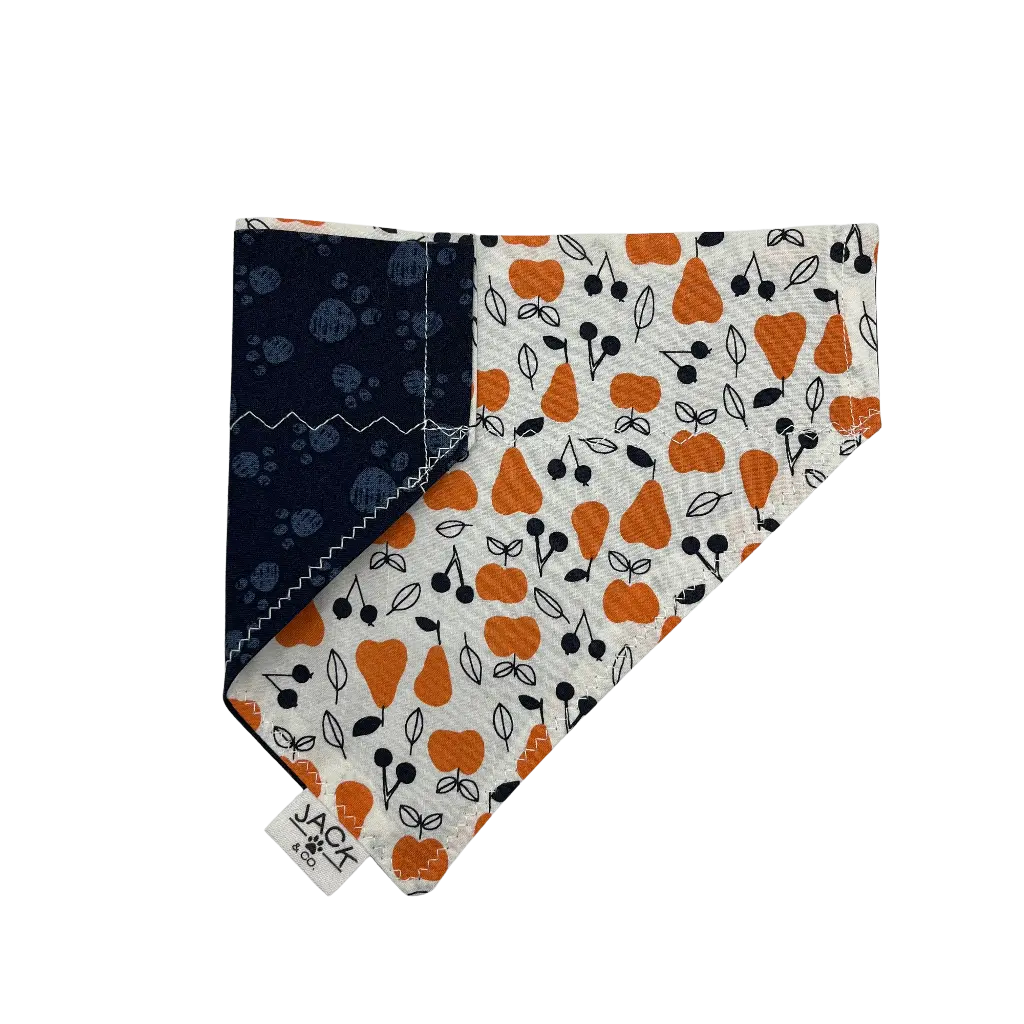 Salade de fruits (Pass-Collar, X-Small, Do not add)