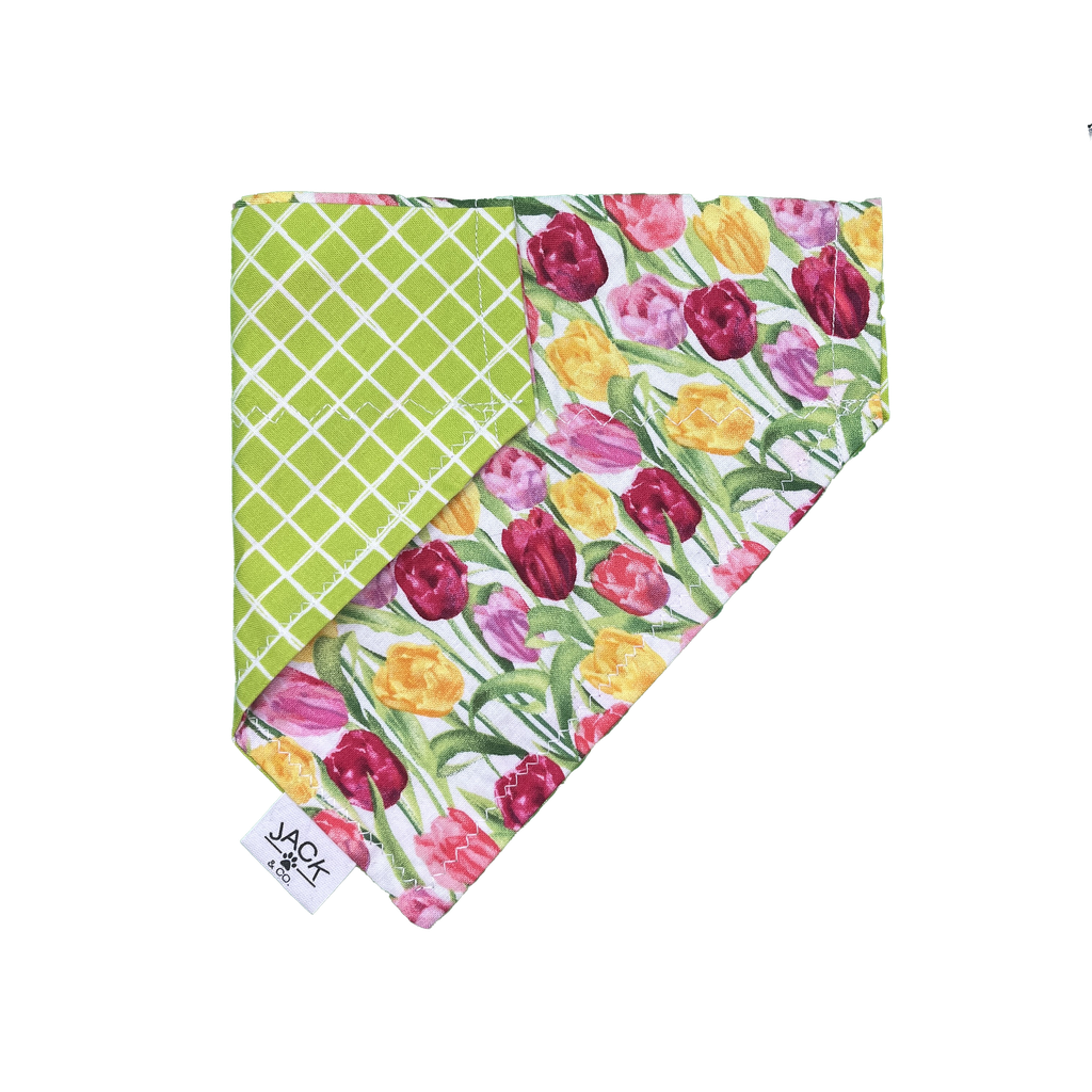 Tulip (Pass-Collar, X-Small, Do not add)