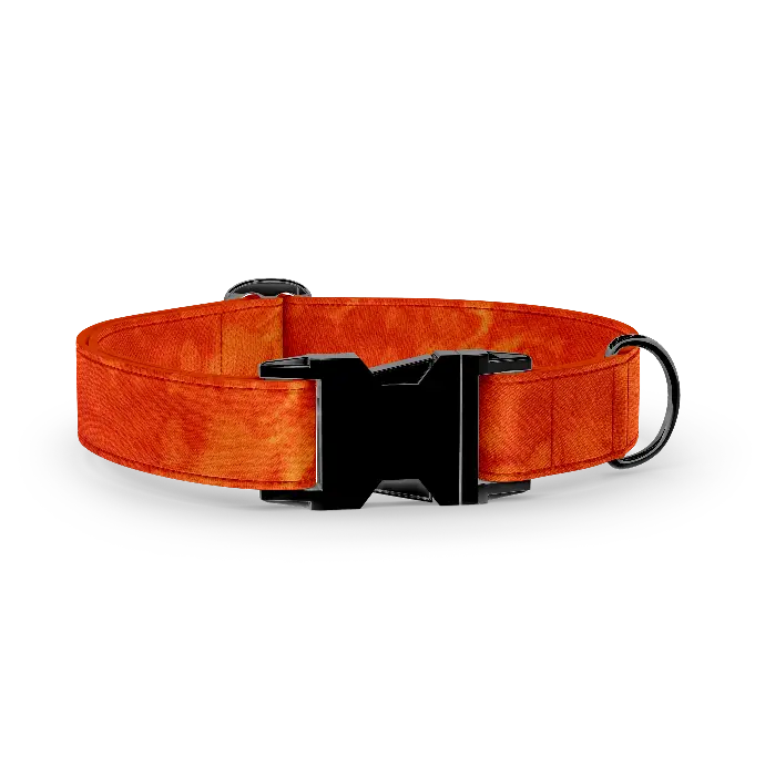 ​Lava (X-Small (Chien))