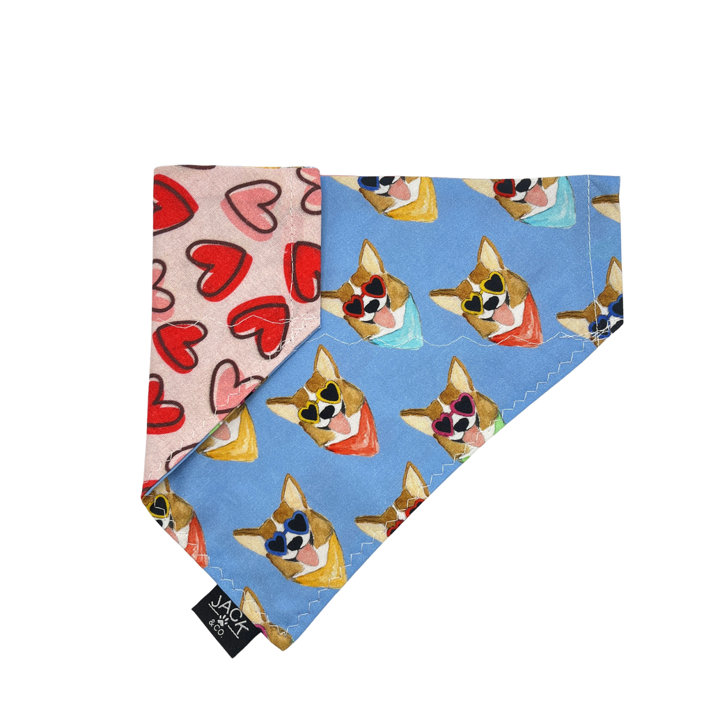 Corgi (Pass-Collar, X-Small, Do not add)