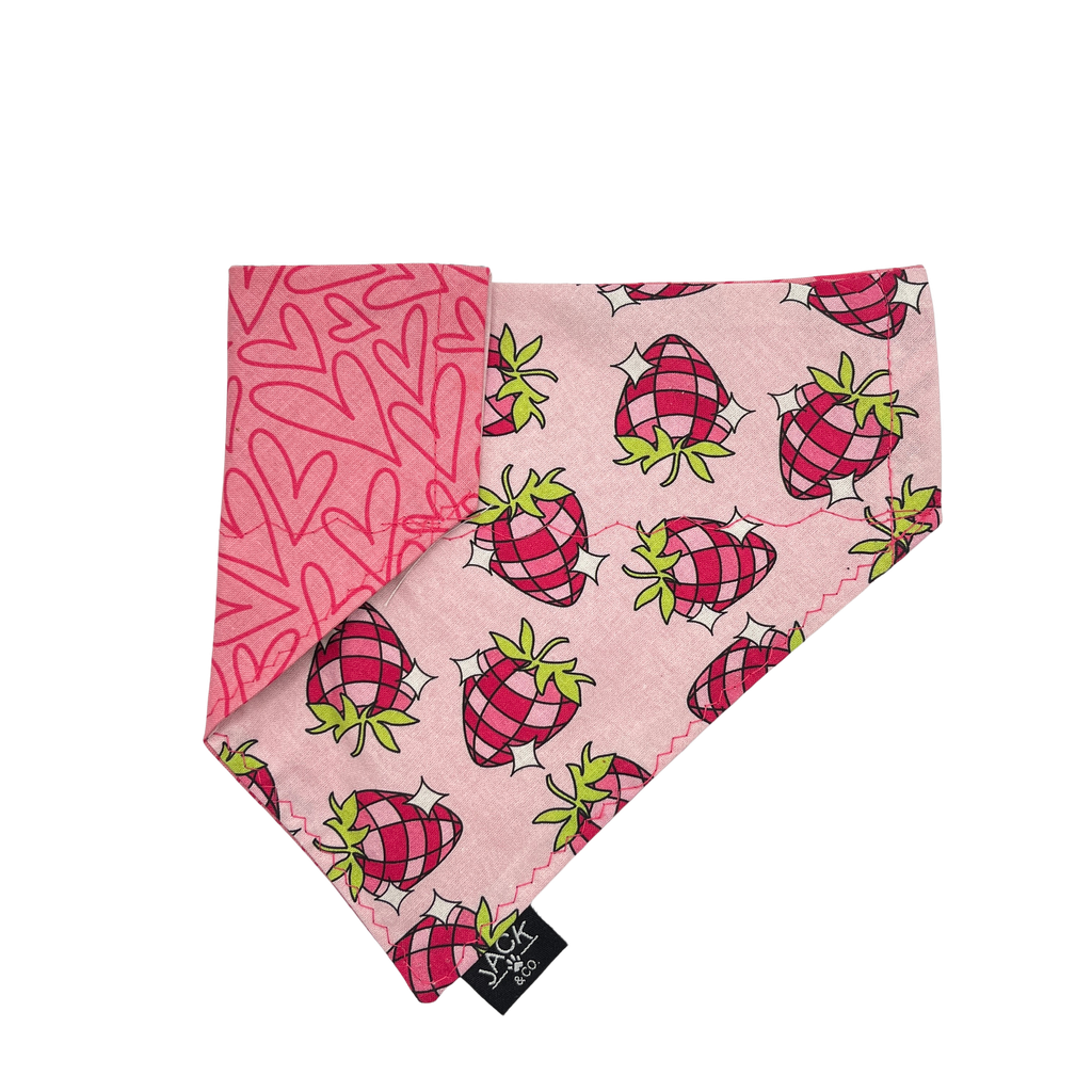 DiscoBerry (Pass-Collar, X-Small, Do not add)