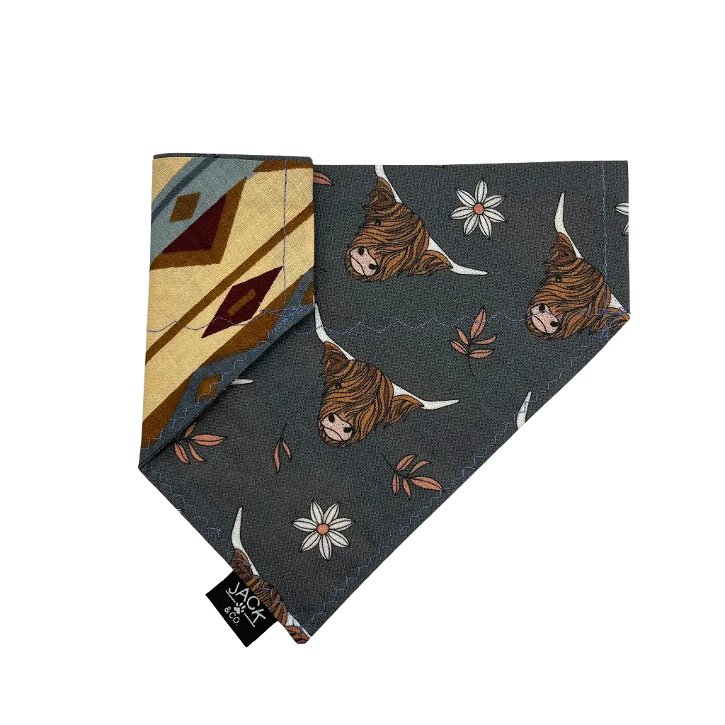 Cow | Highland (Pass-Collar, X-Small, Do not add)