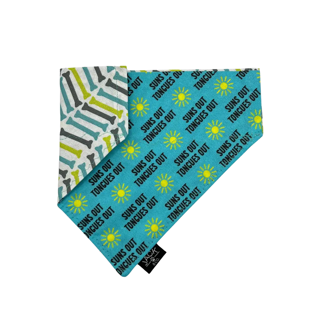 Suns Out (Pass-Collar, X-Small, Do not add)