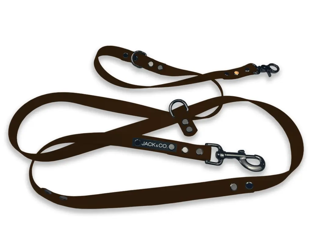 Laisse Multi-Fonctions