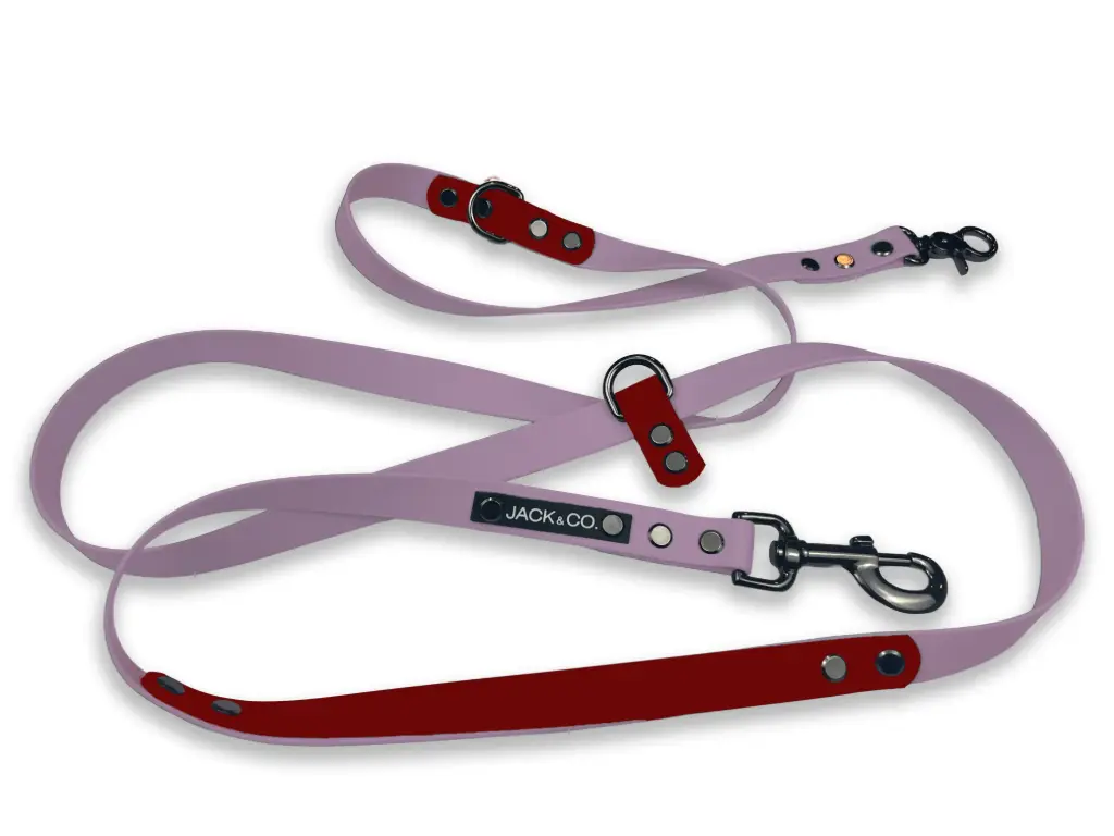 Laisse Multi-Fonctions