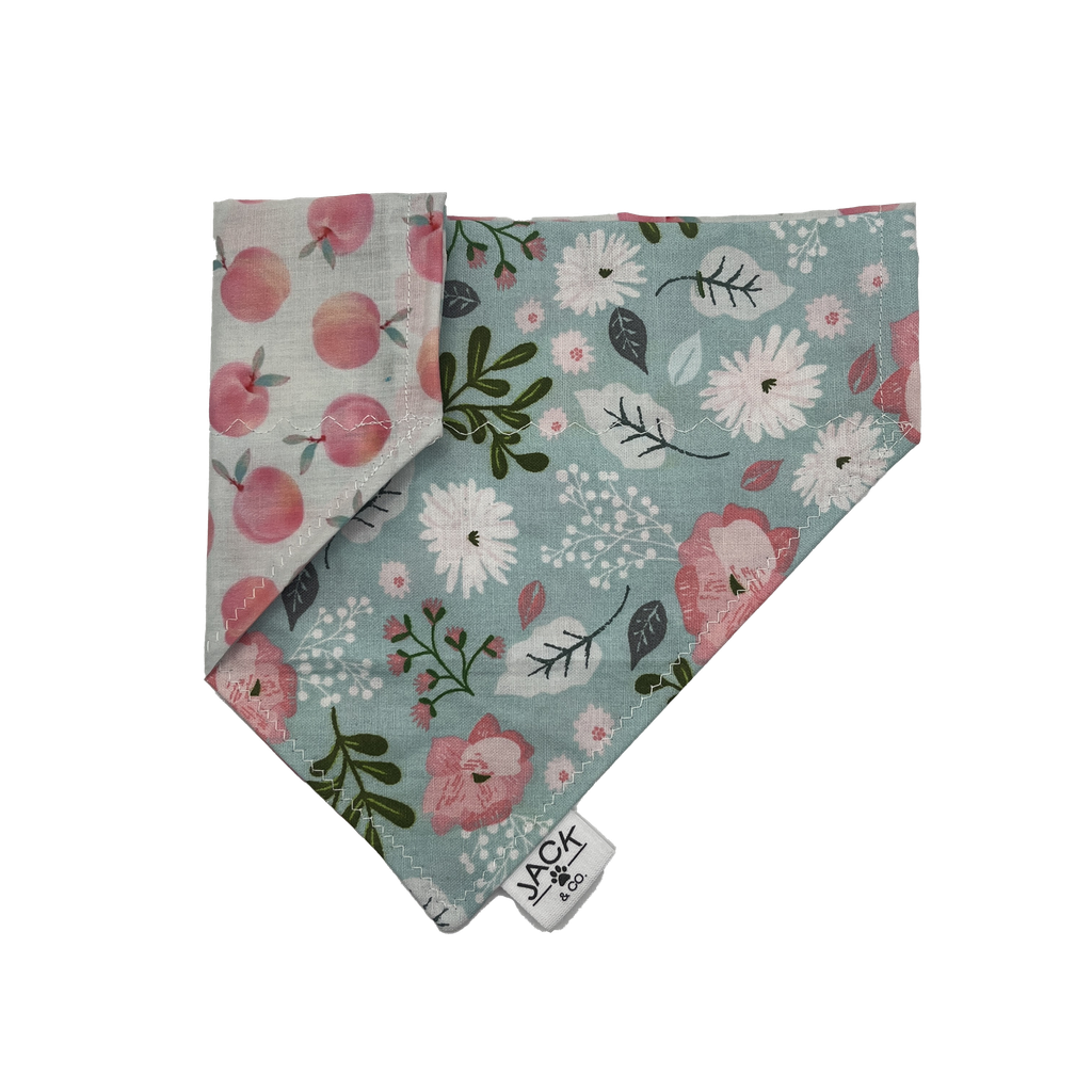 Pêches (Pass-Collar, X-Small, Do not add)