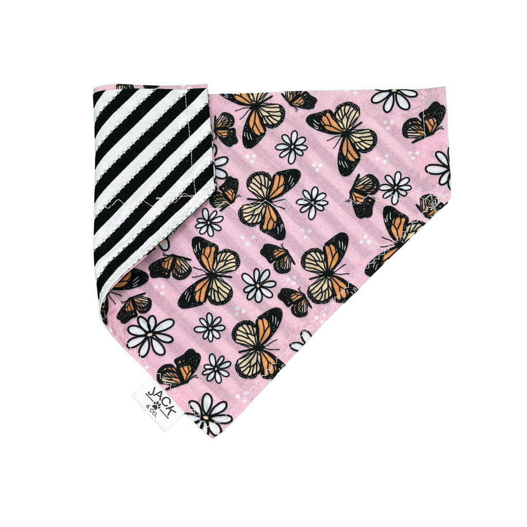 Papillon | Rose (Pass-Collar, X-Small, Do not add)