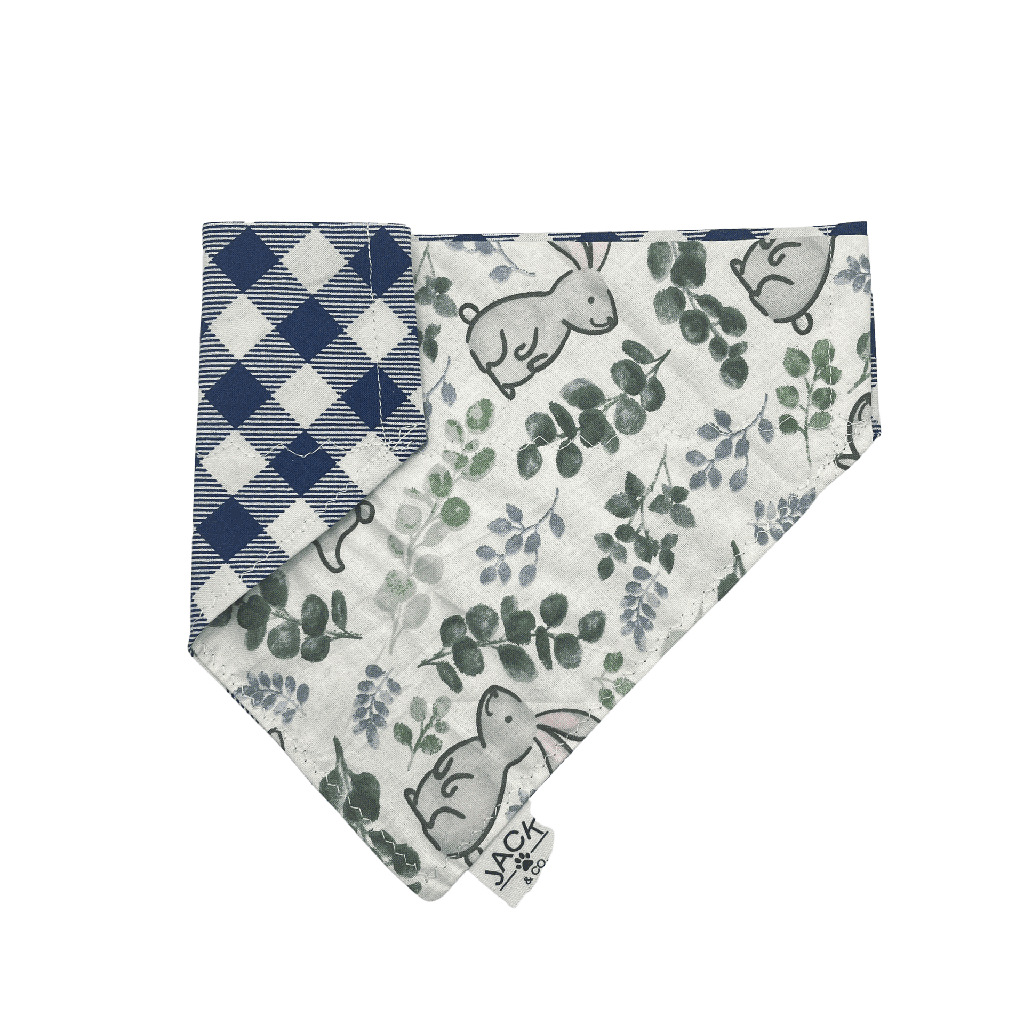 Lapins sauge (Passe-Collier, X-Small, Ne pas ajouter)