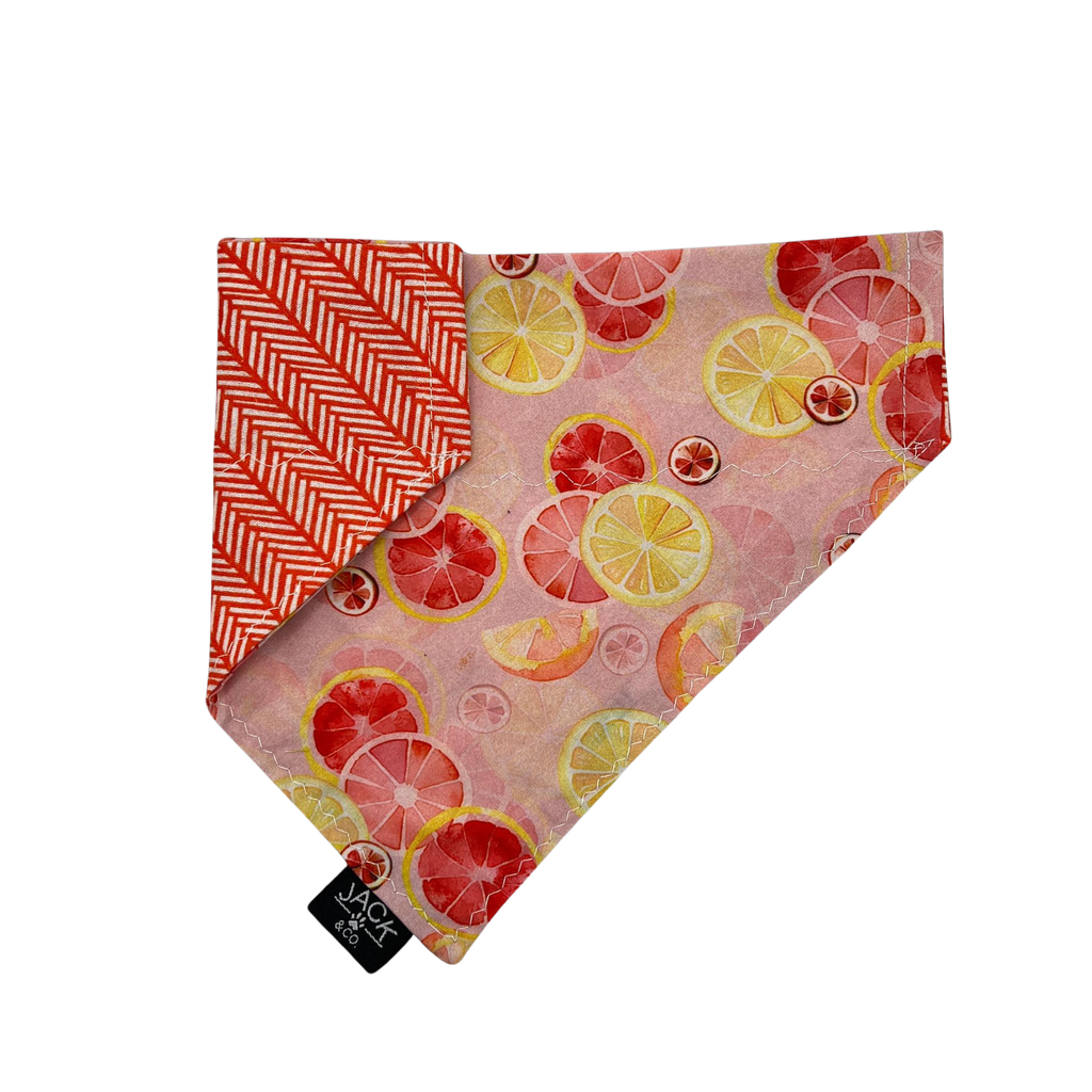 Citrus (Pass-Collar, X-Small, Do not add)