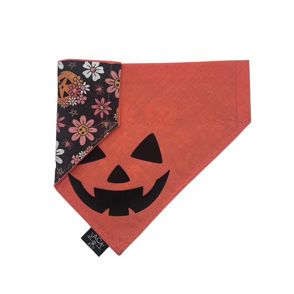 Pink Pumpkin (X-Small, Do not add, Pass-Collar)