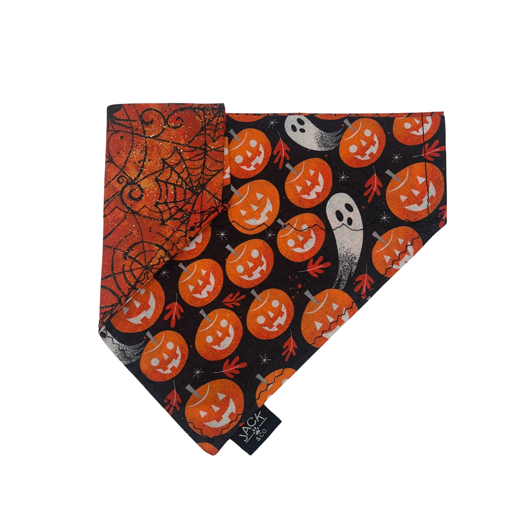 Sparkling Pumpkin (Pass-Collar, X-Small, Do not add)