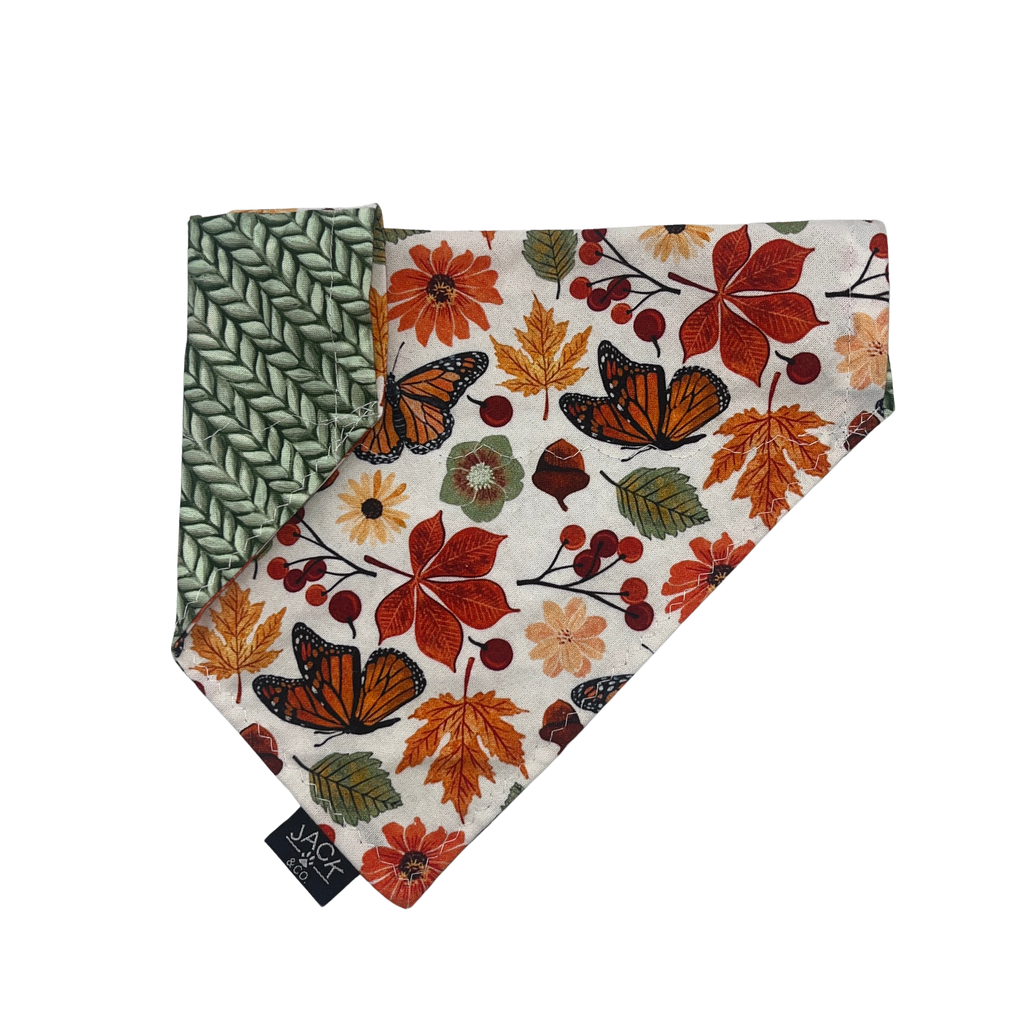 Fall Monarch (Pass-Collar, X-Small, Do not add)